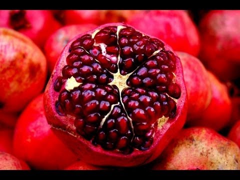 Šipak